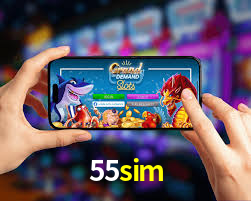 Premium Interface 55sim