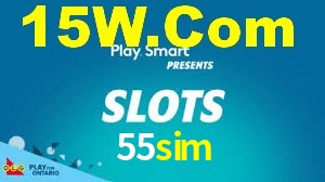 55sim.com
