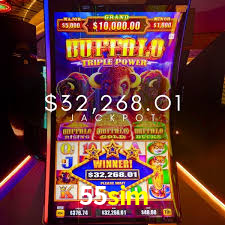 Live Casino 55sim