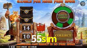 Basketball Betting 55sim