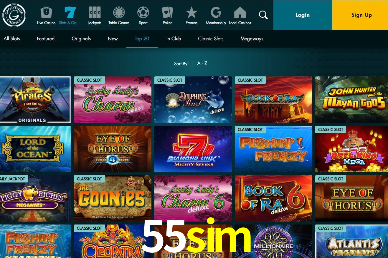 Responsive Design 55sim